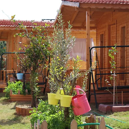 Cilek Butik 3*