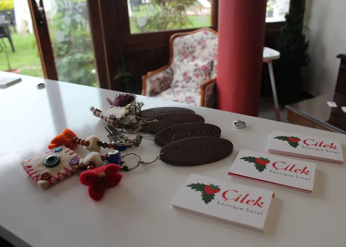 Hotel Cilek Butik 3*